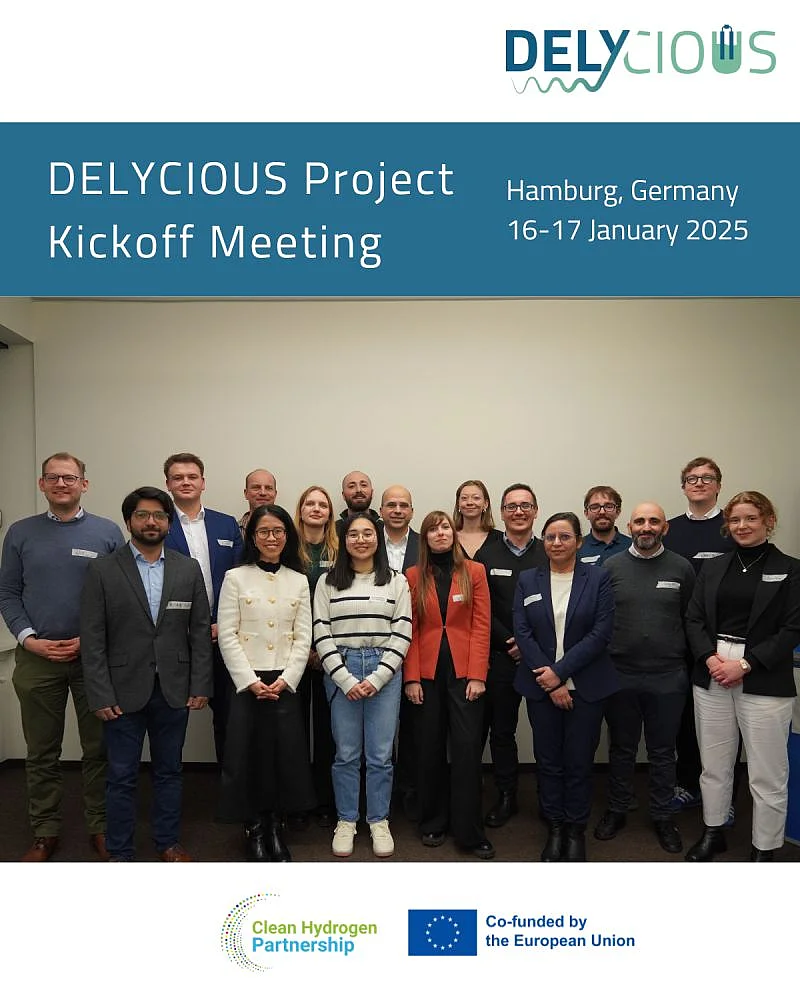 DELYCIOUS Project